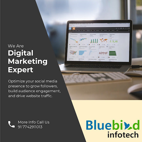 Bluebird Infotech - Website Designing & Development Company