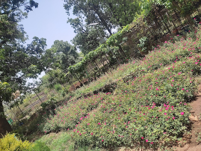 Reni Bagh Horticulture Nursery