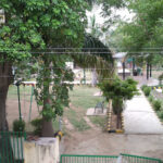 Gayatri Park