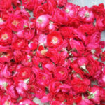 Flowers & bouquet borkheda tiraha